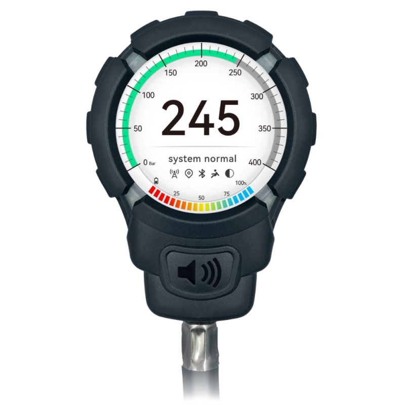 Manometer Elektronik